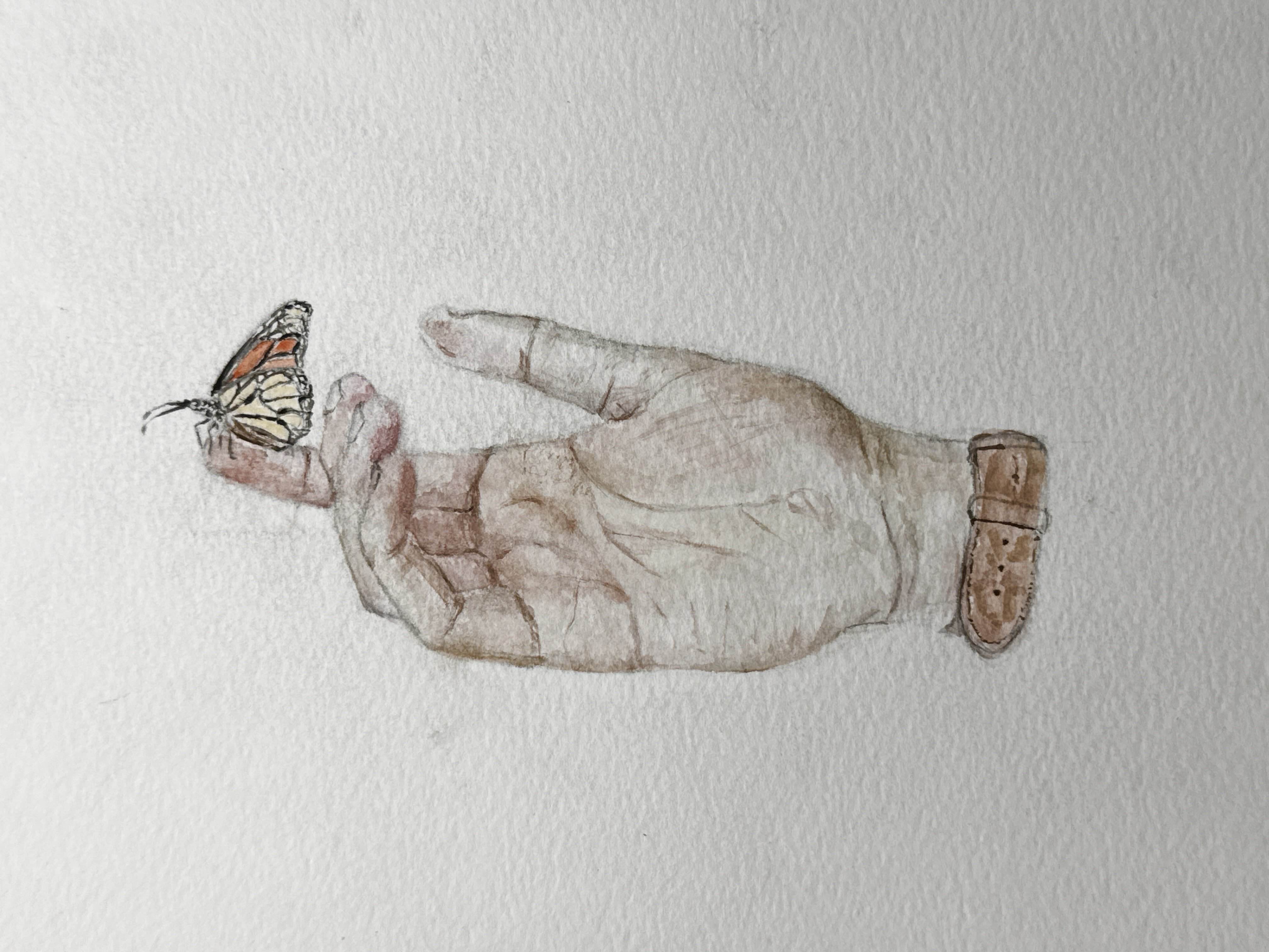 a resting monarch butterfly