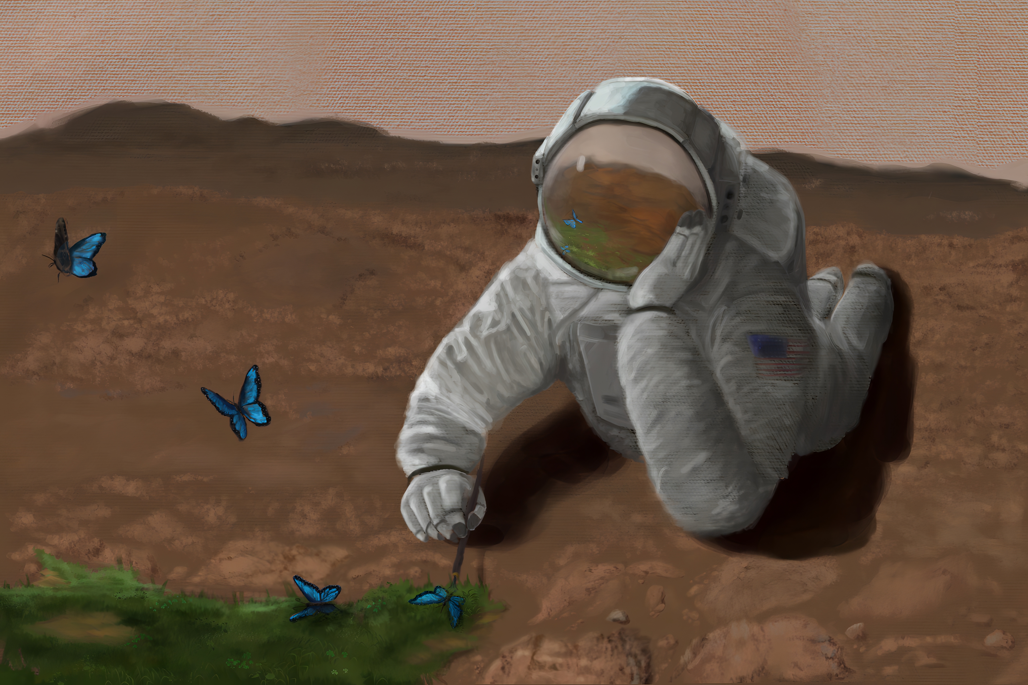 a cosmic canvas