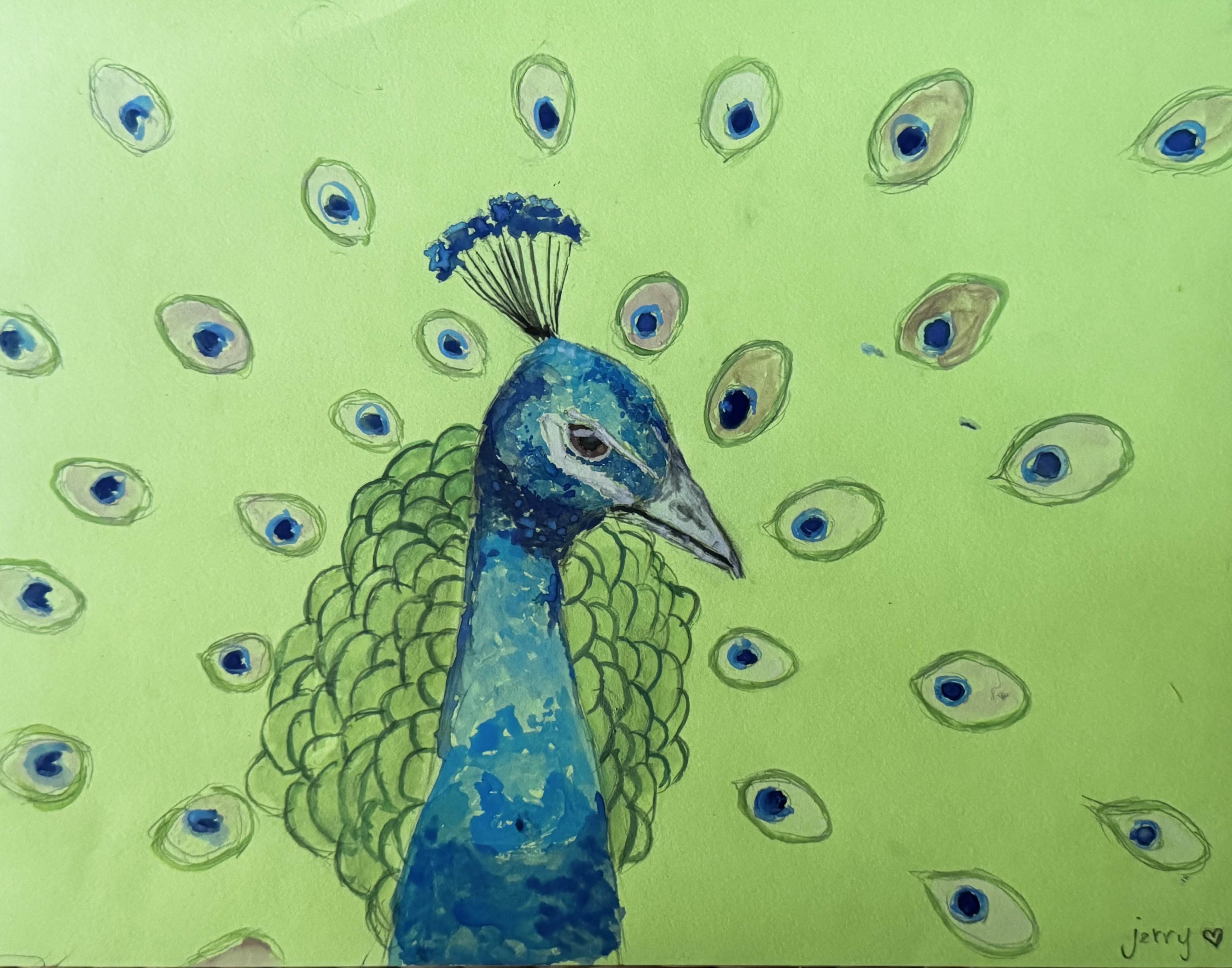 a peacock named jerry